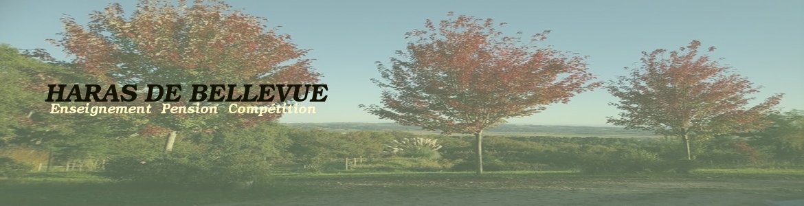 HARAS DE BELLEVUE
